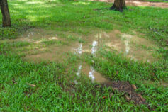 How to achieve better yard drainage