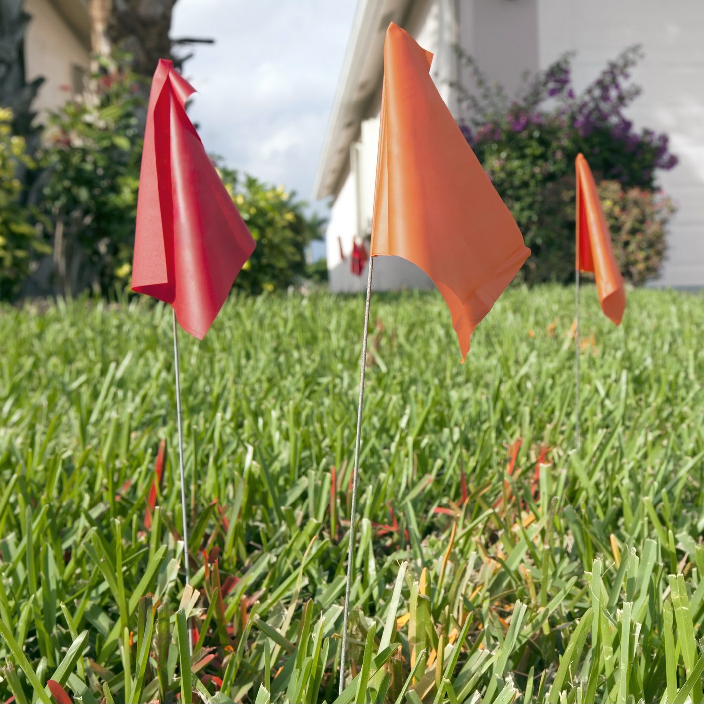 Lawn fertiliser markers