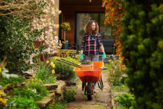 9 things master gardeners wouldn’t do in their gardens