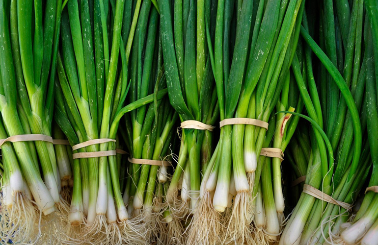 Bunching onions