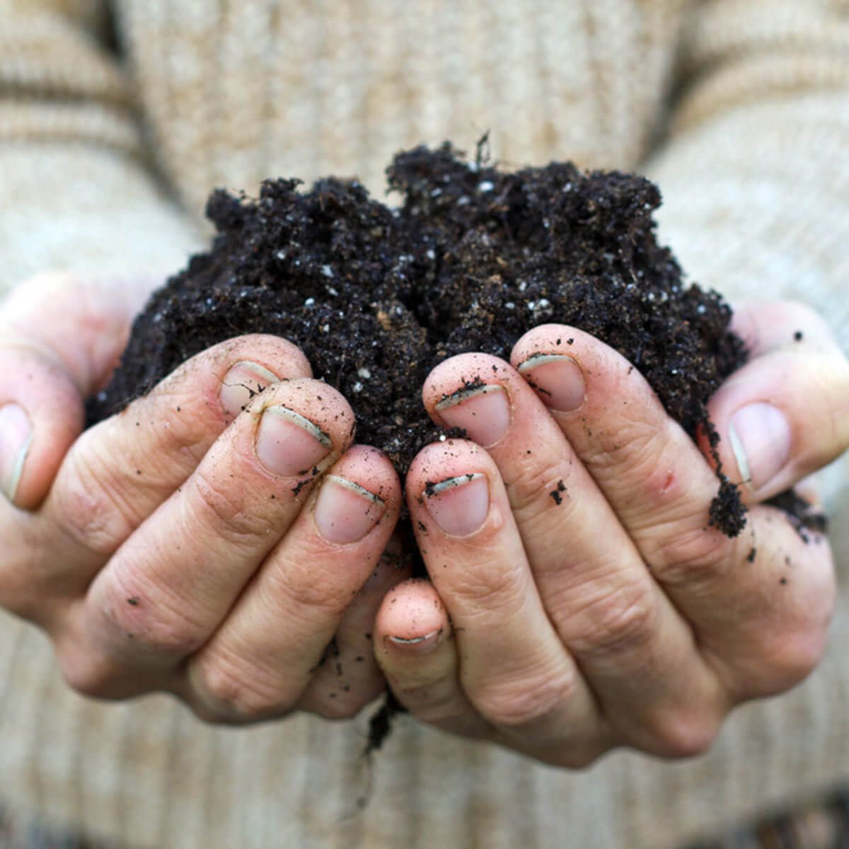 Prepare for planting