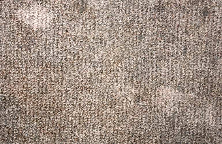 Mould and mildew under carpets