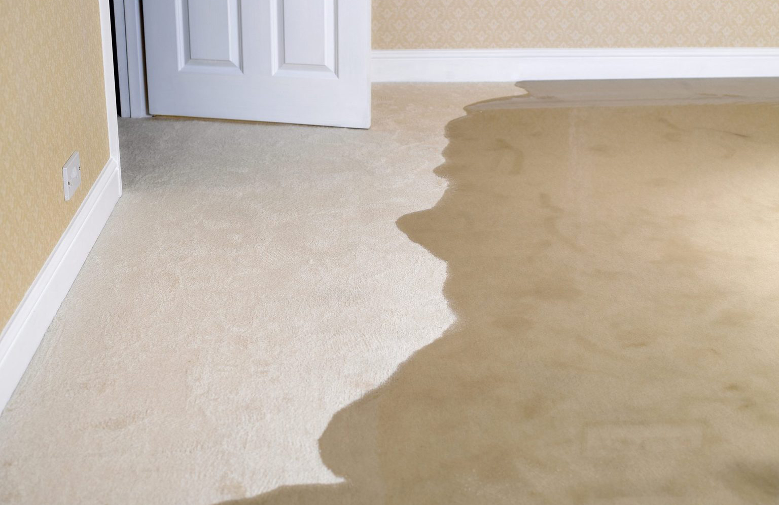 How to prevent mould after flooding