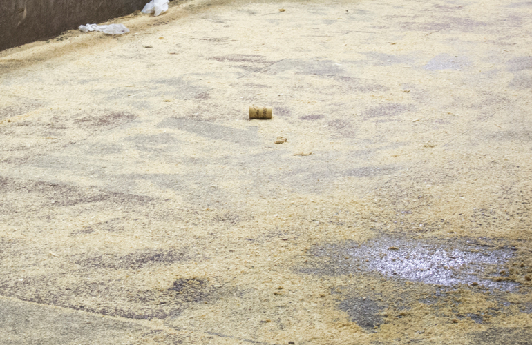 Clean up spills and dust