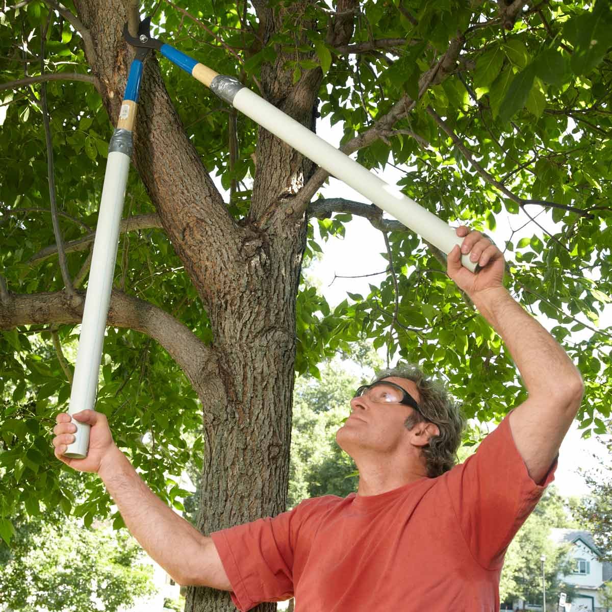 Prune higher with long reach shears