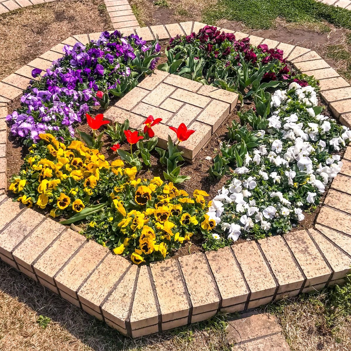 Brick raised garden bed
