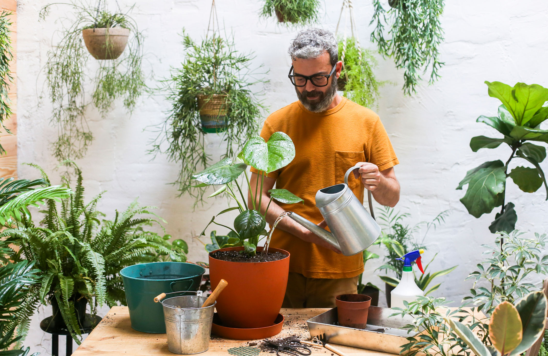 How often should you water houseplants?
