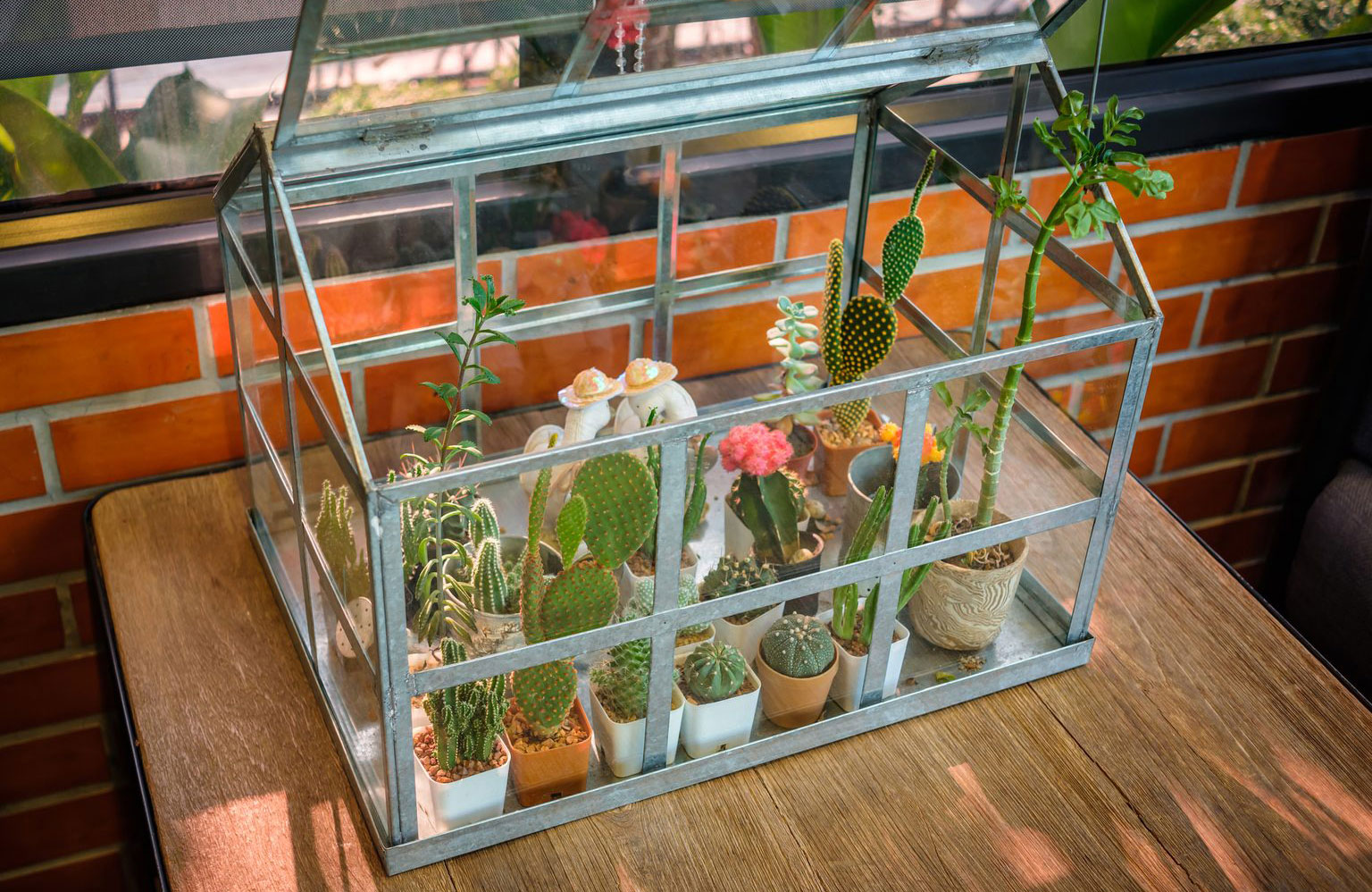 Build an indoor greenhouse