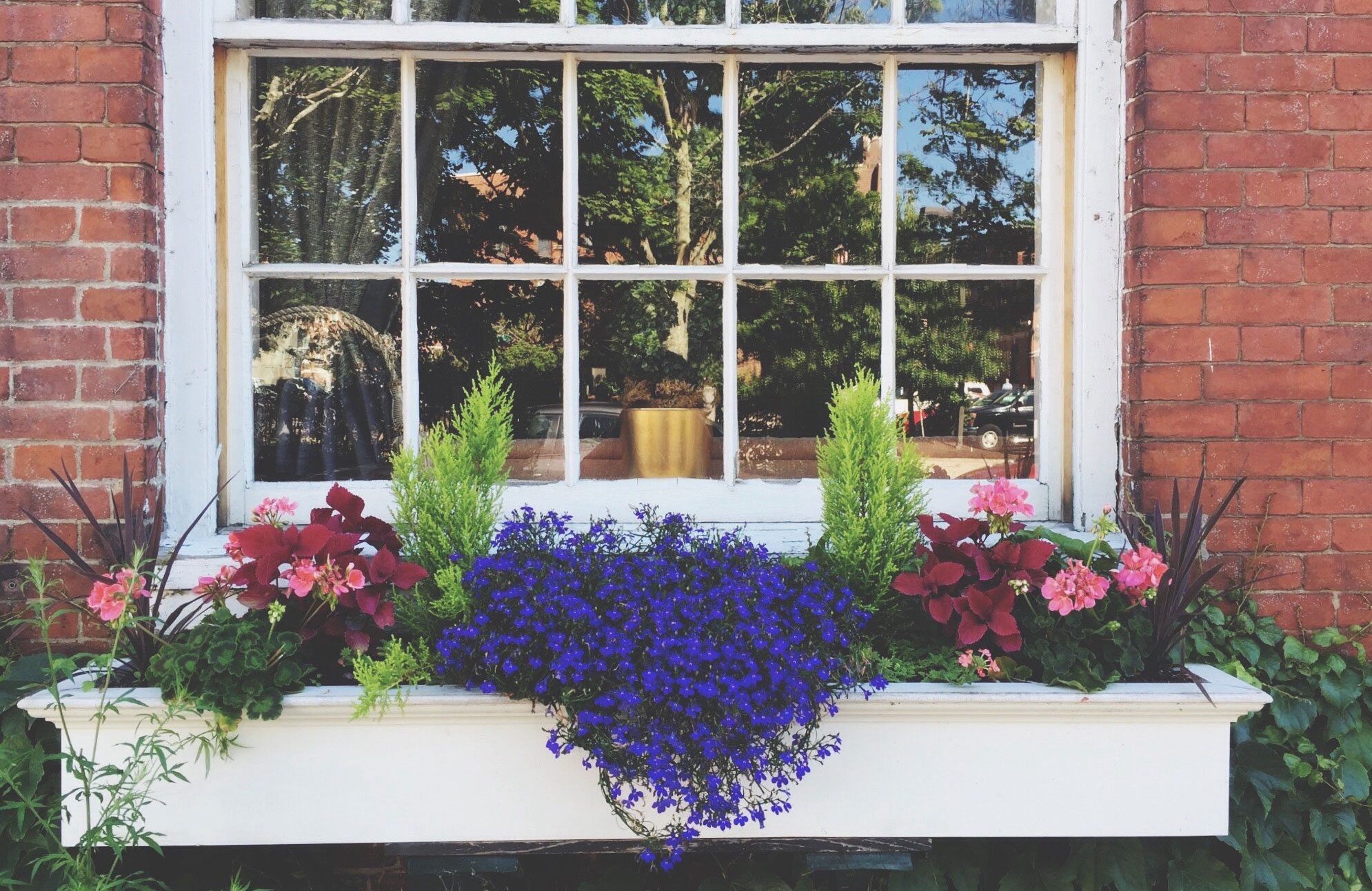 Add boxes to your windows