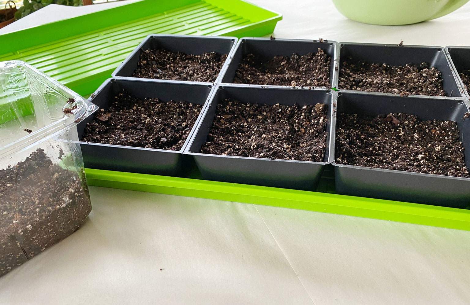 Step 1: Fill containers with soil