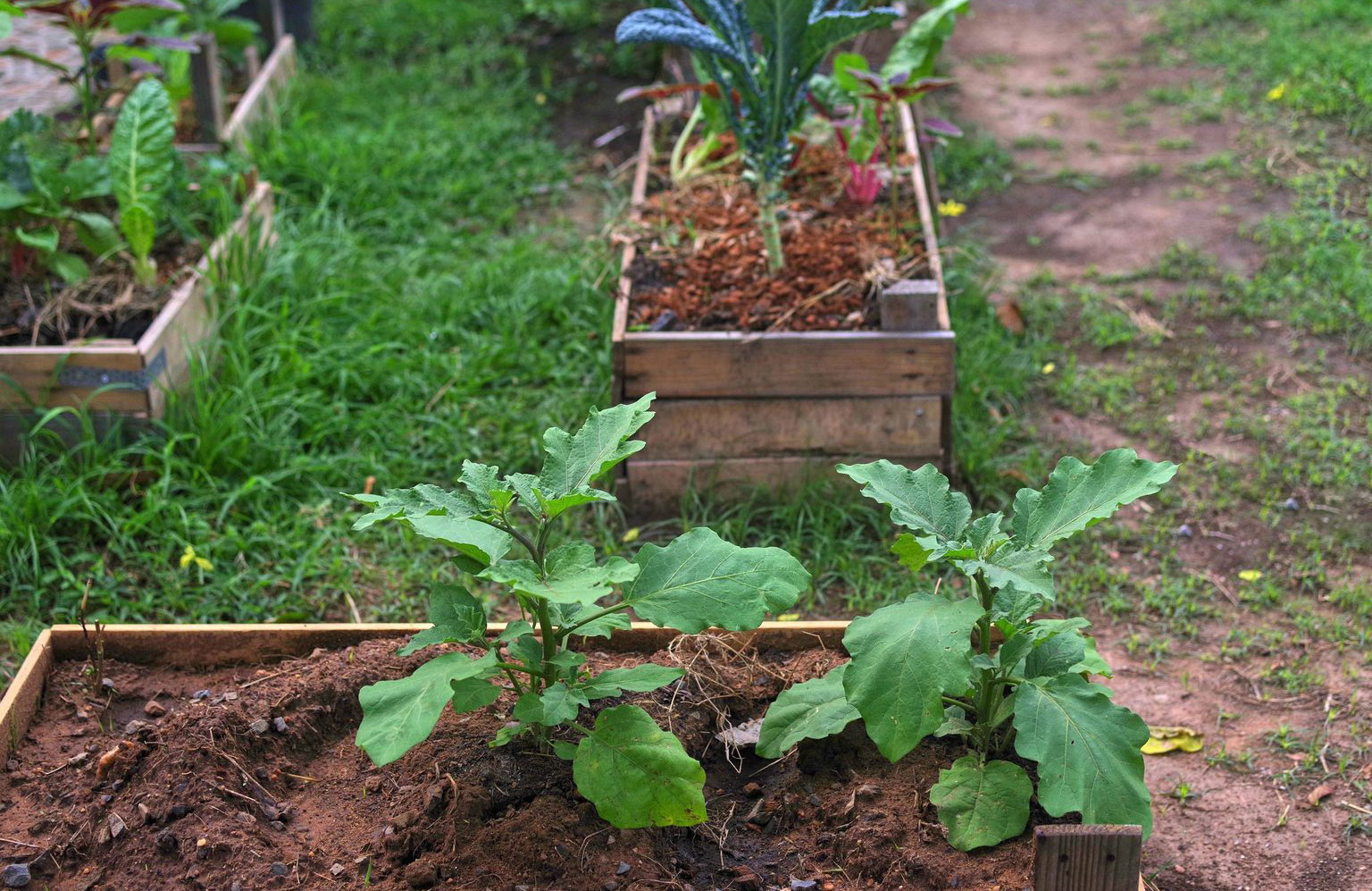 What are the types of sustainable gardening?