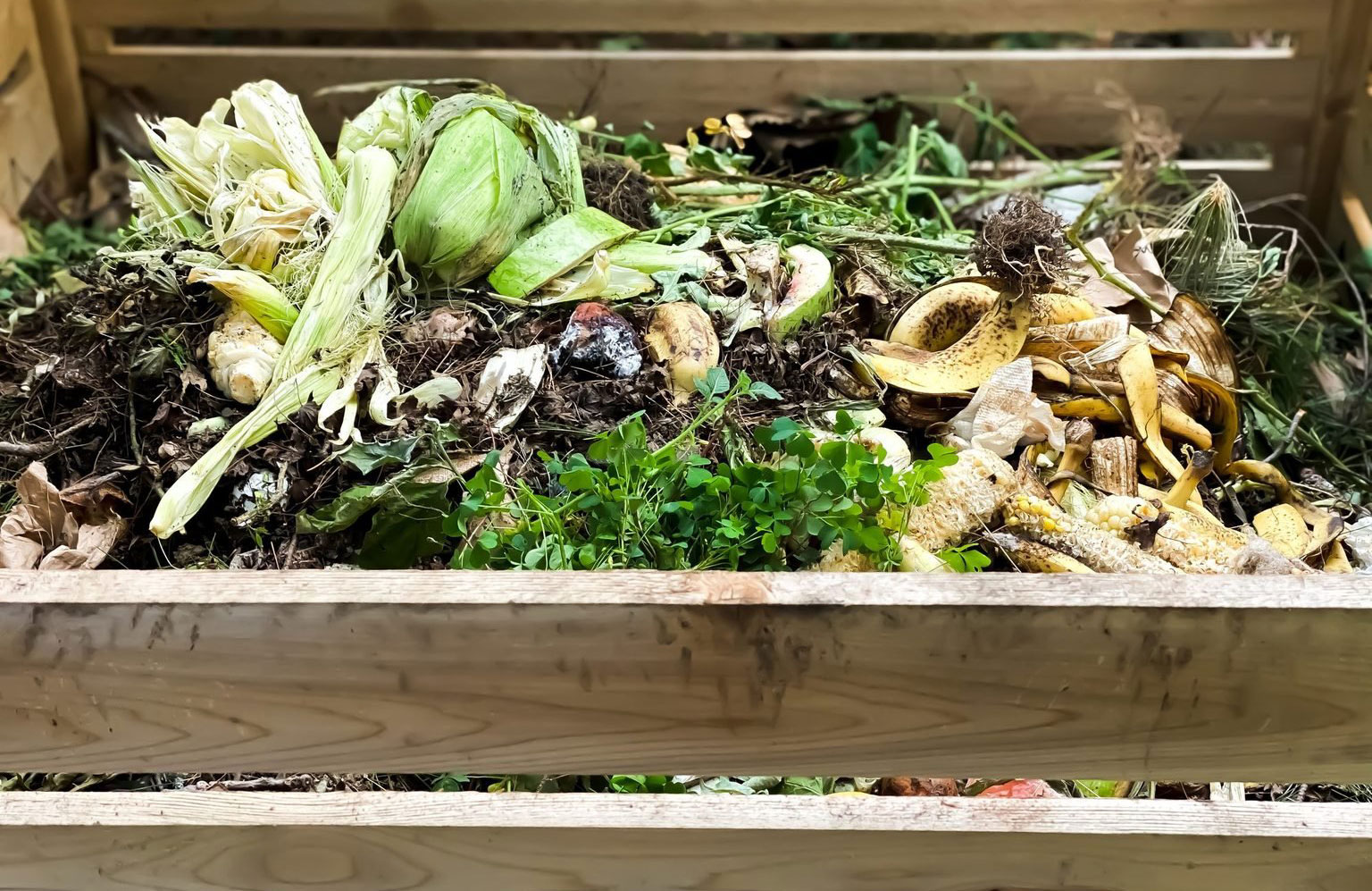 Step 10: Compost it