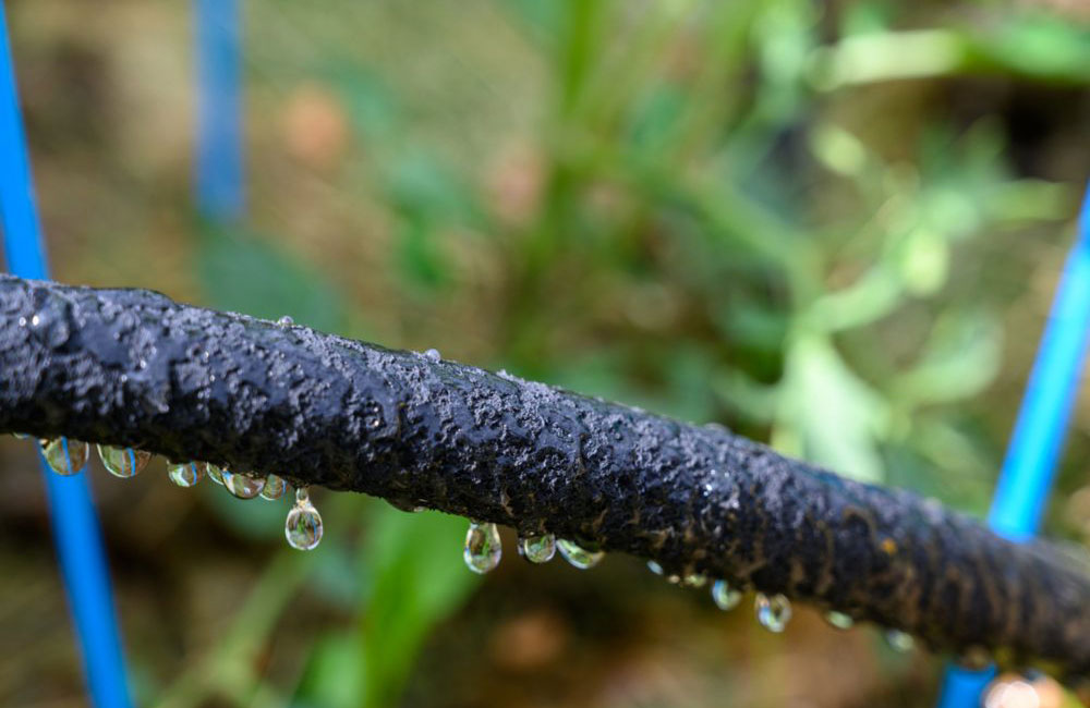 Experienced gardeners swear by soaker hoses