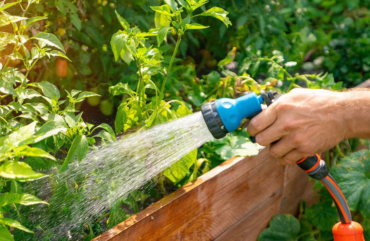 Maintenance may take as little as five minutes a day