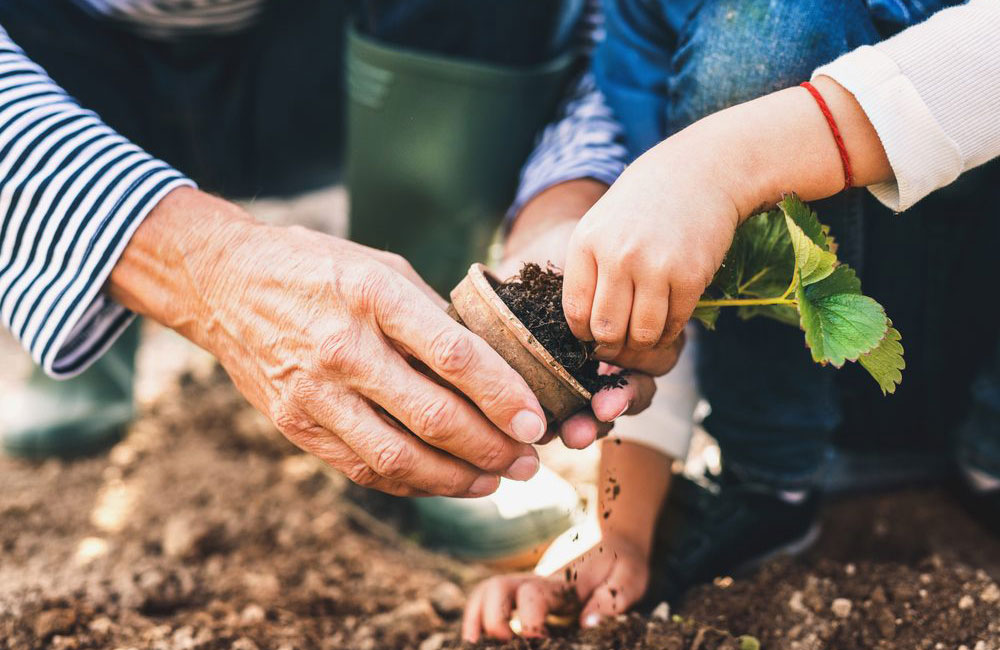 Learning your soil type is key